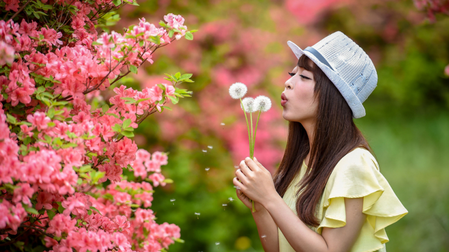 日本夏季赏花5推荐：梅雨绣球花、阳光向日葵与浪漫薰衣草来报到