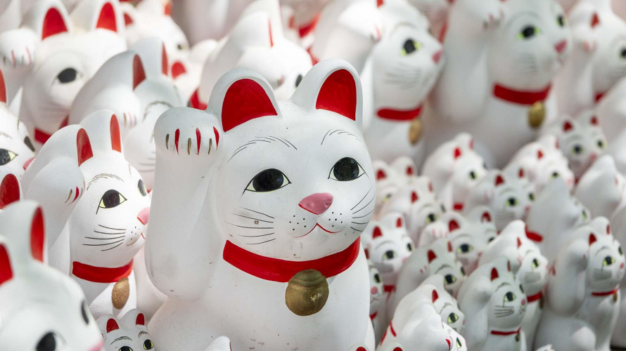 도쿄 고양이 명소: 고토쿠지의 사랑스러운 이야기와 세타가야선의 행운의 냥이 산책