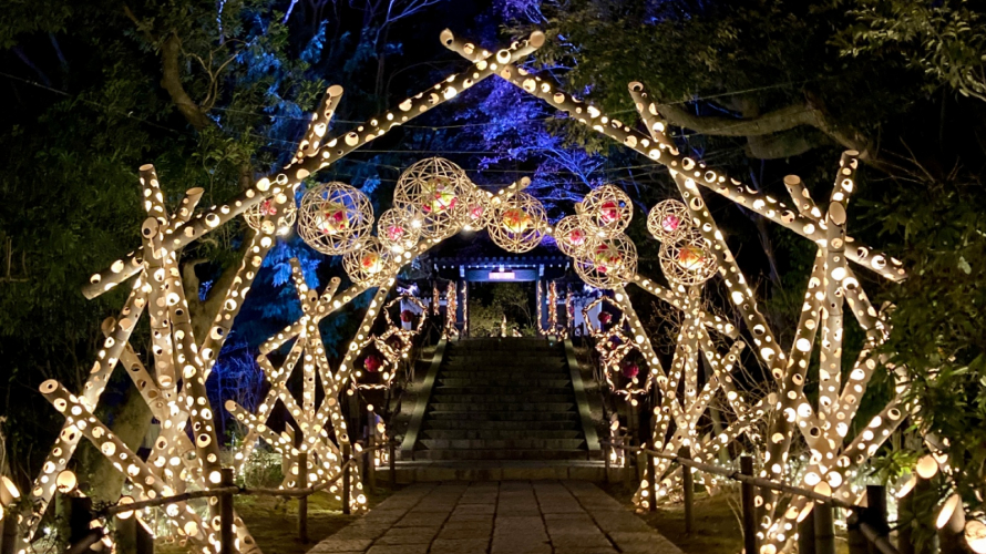 5 Must-See Illumination Events in Post-Covid Tokyo