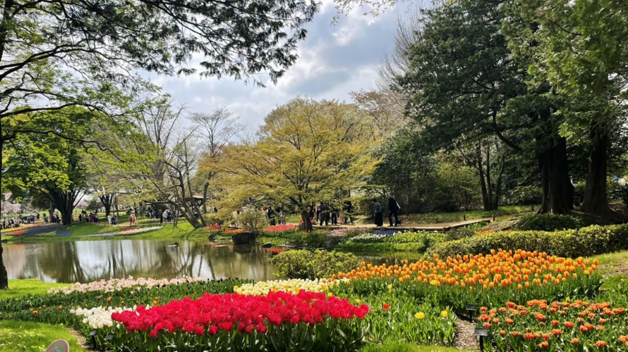昭和記念公園　春の花の鑑賞に子連れでいってみた