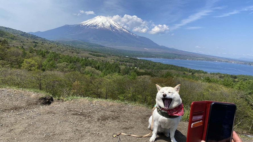 富士山のキャンプ場3選～クルキの冒険～