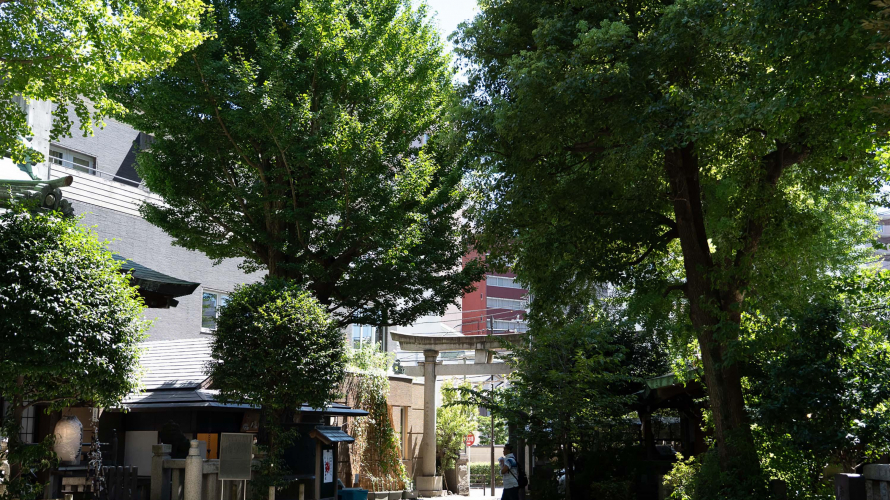 시부야에서 20분, ‘지유가오카(自由が丘)’에서 여유로운 도쿄 여행