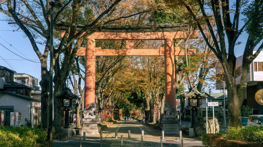 A Quick Trip to Saitama: Bonsai, Japanese Eats, Railway History, and Other Fun Near the...