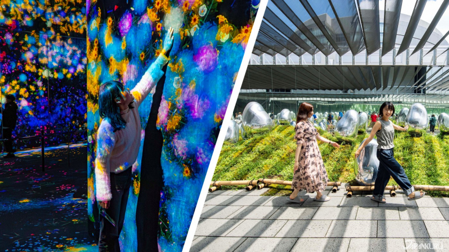 TeamLab Borderless vs TeamLab Planets: Which Should You Visit?
