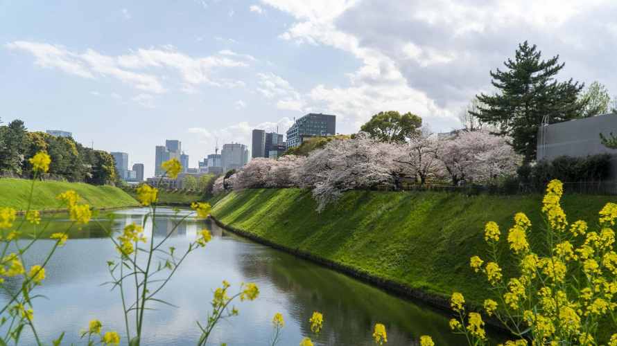 东京都内JR沿线赏樱景点推荐  从樱花名所到私房景点任你选