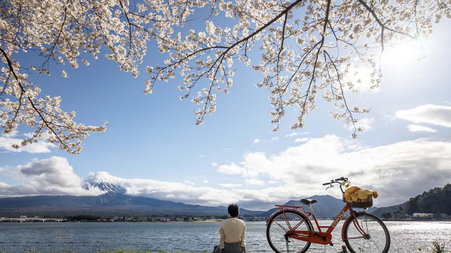 富士賞櫻景點之河口湖篇 富士山全景纜車、櫻花祭與大石公園文青店