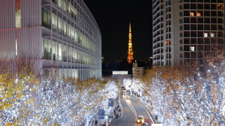 東京聖誕節🎄特輯 聖誕市集與聖誕燈報導