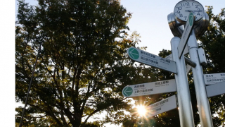 上野公園怎麼玩？上野恩賜公園介紹