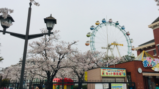 都營荒川線一日券爽爽搭 東京躲開人潮 懶人賞櫻景點推薦