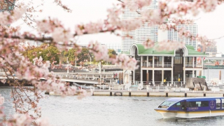 我不想花錢！東京近郊3月最後一周免費活動在這兒～