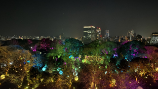 팀랩 후쿠오카 성터 빛의 축제 (チームラボ 福岡城跡 光の祭 2019-2020)