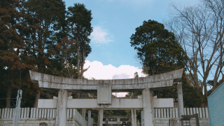 아라시 광고에 출현한 바로 그 곳! 빛의 길로 유명한 미야지다케신사(宮地嶽神社)가 있는 후쿠마(福間)!