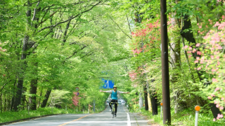 일본 코로나 바이러스 여파로 호황중인 업계 이모저모