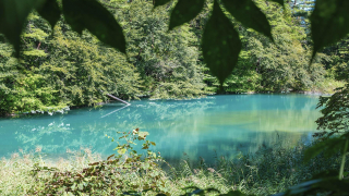 裏磐梯　神秘的な青い湖沼　五色沼の青沼