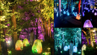 New teamLab Destination in Saitama! An Acorn Forest at the Kadokawa Culture Museum