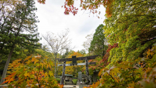 日本關東賞楓紅葉秘境景點  栃木古峯神社與古峯園