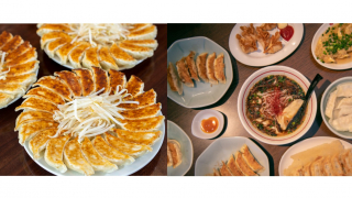 Finding the Gyoza Capital of Japan ・ Where Are Japan's Most Delicious Dumplings?