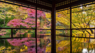 วัดรุริโคอิน จุดชมใบไม้เปลี่ยนสีเลื่องชื่อที่เกียวโต มหัศจรรย์แห่งสวนญี่ปุ่นและเงาสะท้อน