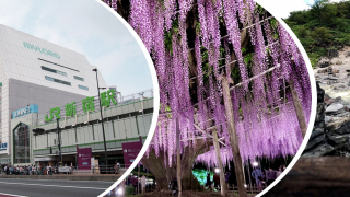 不是日本動漫迷也必知的關東著名動漫聖地景點