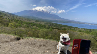 富士山のキャンプ場3選～クルキの冒険～