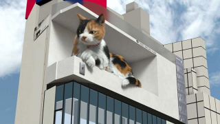 도쿄 신주쿠 여행 | 시부야가 하치코 동상이라면 신주쿠는 3D 거대 고양이!