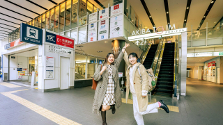 Japanese Food and Shopping Recommendations at Akihabara Station: Akiba Tolim