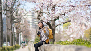 Top 5 Cherry Blossom Spots in Osaka