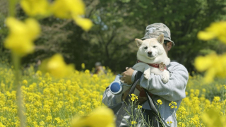 昭和記念公園　春の花の鑑賞に子連れでいってみた